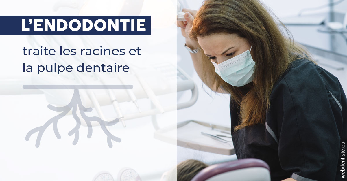 https://dr-dussere-lm.chirurgiens-dentistes.fr/L'endodontie 1