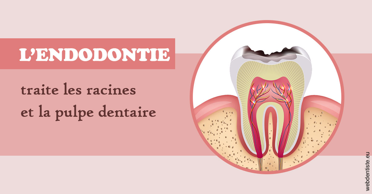 https://dr-dussere-lm.chirurgiens-dentistes.fr/L'endodontie 2