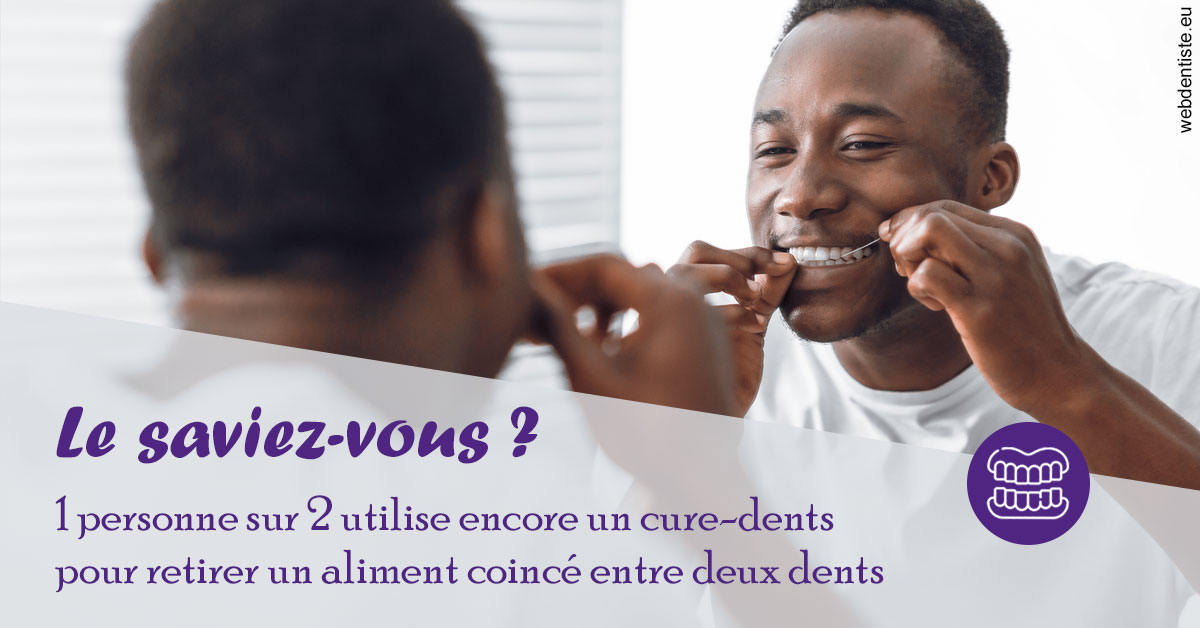 https://dr-dussere-lm.chirurgiens-dentistes.fr/Cure-dents 2