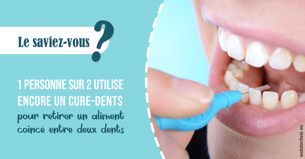https://dr-dussere-lm.chirurgiens-dentistes.fr/Cure-dents 1